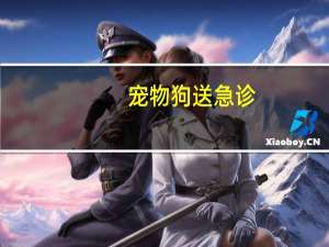 宠物狗送急诊