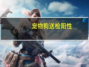 宠物狗送检阳性