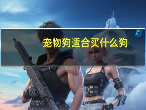 宠物狗适合买什么狗