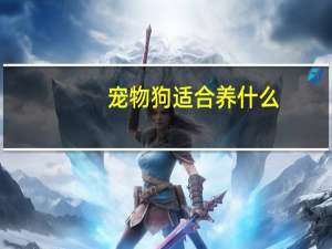 宠物狗适合养什么