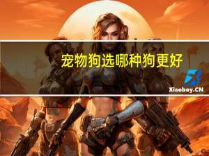 宠物狗选哪种狗更好