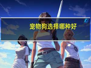 宠物狗选择哪种好