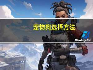 宠物狗选择方法