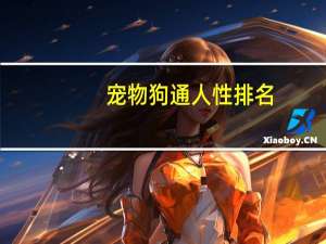 宠物狗通人性排名