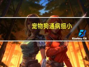 宠物狗通病细小