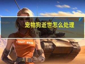 宠物狗逝世怎么处理