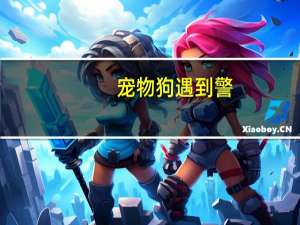 宠物狗遇到警