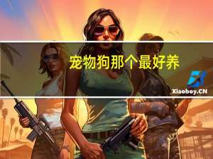 宠物狗那个最好养