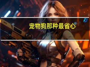 宠物狗那种最省心