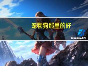 宠物狗那里的好