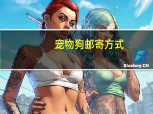 宠物狗邮寄方式