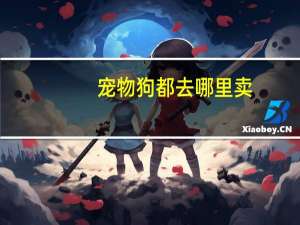 宠物狗都去哪里卖
