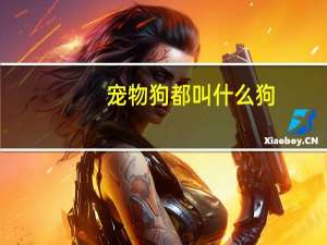 宠物狗都叫什么狗