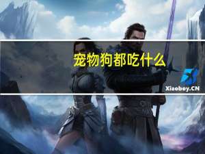 宠物狗都吃什么