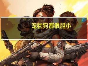 宠物狗都很胆小