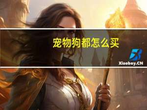 宠物狗都怎么买