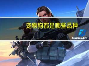 宠物狗都是哪些品种