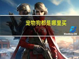 宠物狗都是哪里买