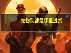 宠物狗都是哪里进货