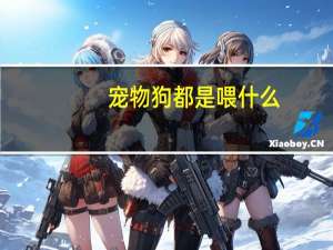 宠物狗都是喂什么