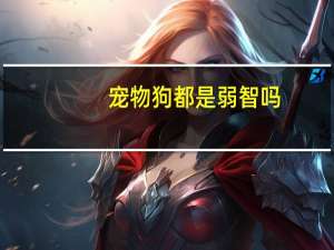 宠物狗都是弱智吗