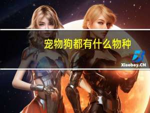 宠物狗都有什么物种