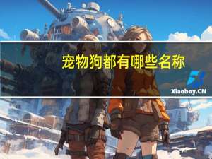 宠物狗都有哪些名称