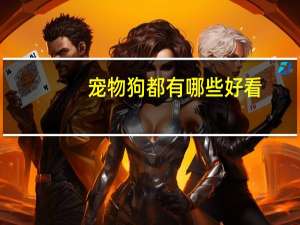 宠物狗都有哪些好看