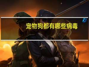 宠物狗都有哪些病毒