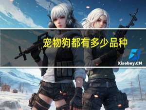 宠物狗都有多少品种