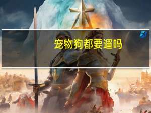 宠物狗都要遛吗