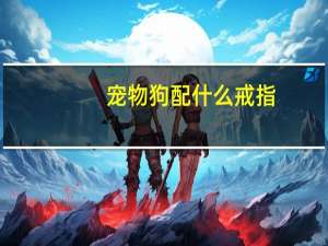 宠物狗配什么戒指