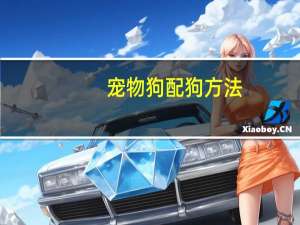 宠物狗配狗方法