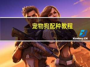 宠物狗配种教程