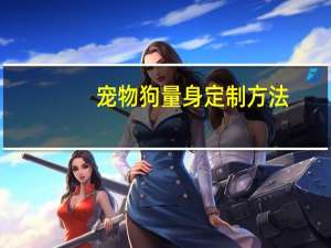 宠物狗量身定制方法