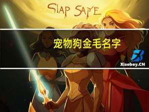 宠物狗金毛名字
