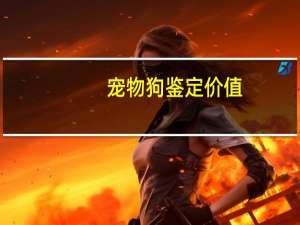 宠物狗鉴定价值