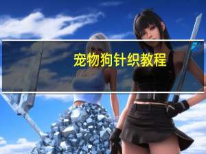 宠物狗针织教程