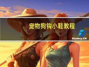 宠物狗钩小鞋教程