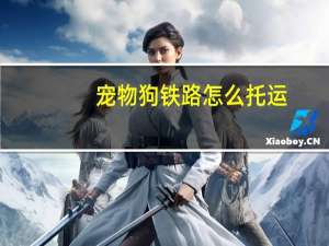 宠物狗铁路怎么托运