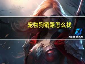 宠物狗销路怎么找