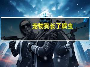 宠物狗长了螨虫