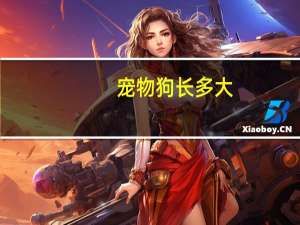 宠物狗长多大