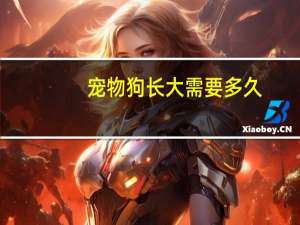 宠物狗长大需要多久
