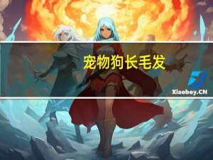 宠物狗长毛发