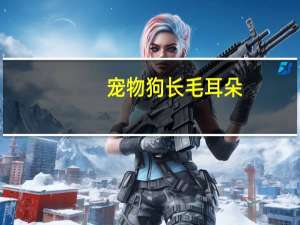 宠物狗长毛耳朵