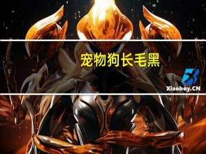 宠物狗长毛黑