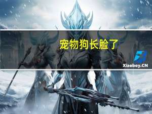 宠物狗长脸了