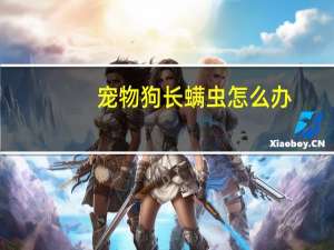 宠物狗长螨虫怎么办