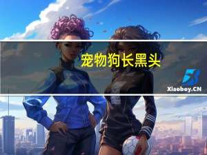 宠物狗长黑头
